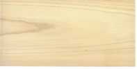 Ahorn, Berg-
